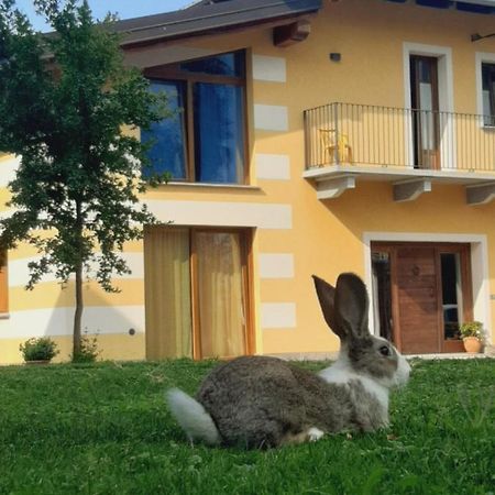 Agriturismo Fior Di Campo ドロネーロ エクステリア 写真