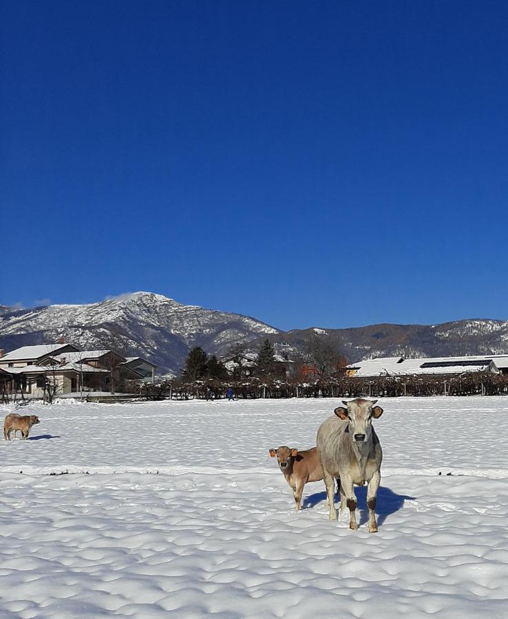 Agriturismo Fior Di Campo ドロネーロ エクステリア 写真
