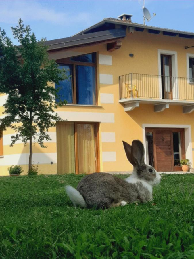 Agriturismo Fior Di Campo ドロネーロ エクステリア 写真