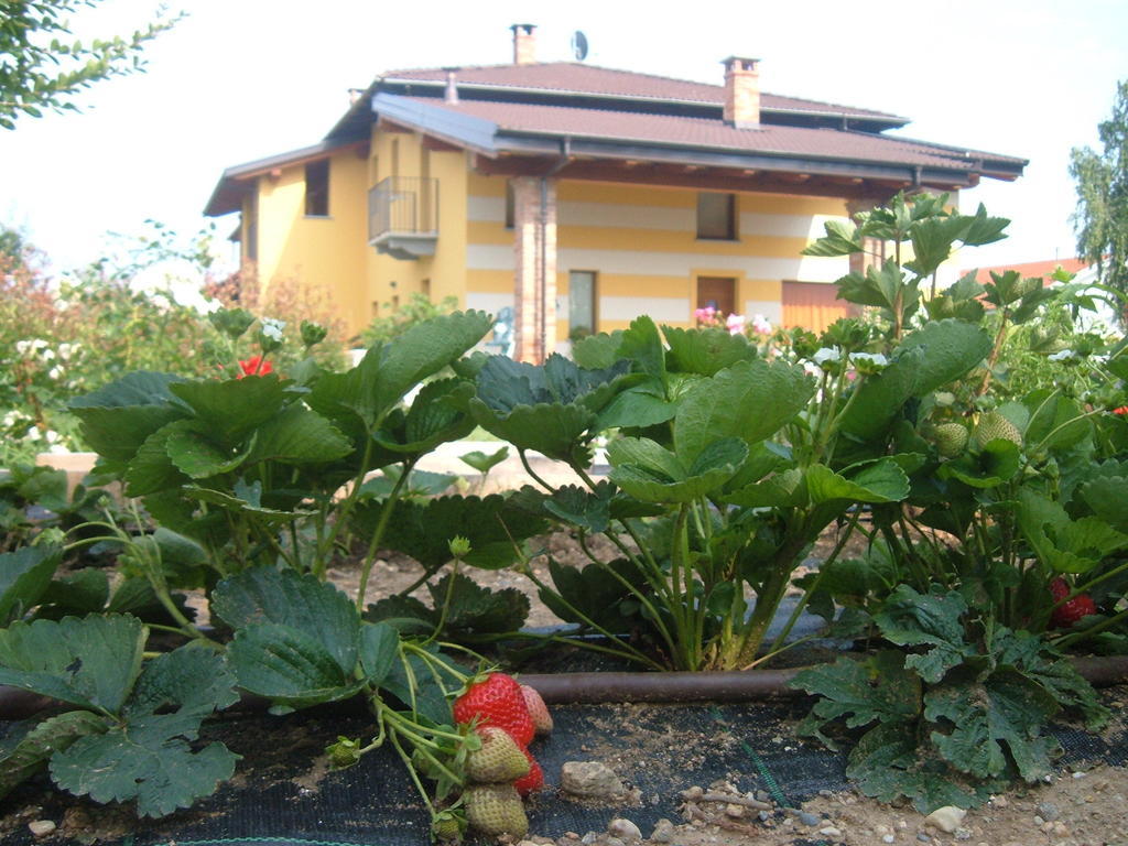 Agriturismo Fior Di Campo ドロネーロ エクステリア 写真